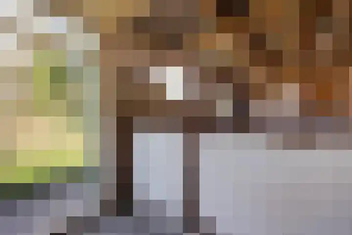 Brugstraat 2 Wezup thumbnail 59
