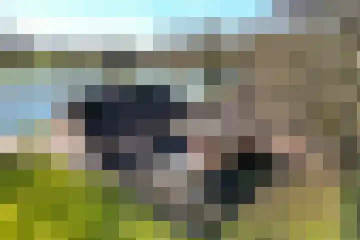 Brugstraat 2 Wezup thumbnail 6