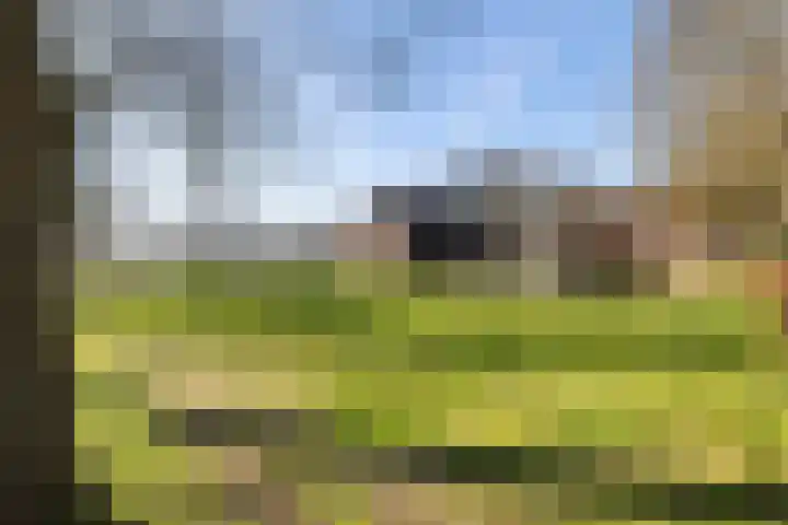 Brugstraat 2 Wezup thumbnail 61
