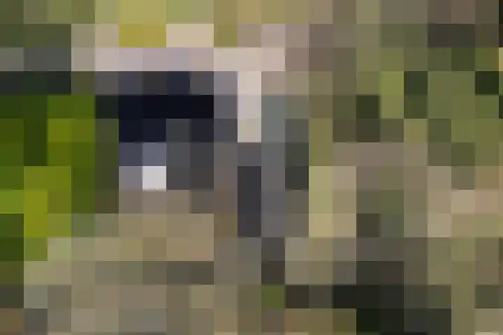Brugstraat 2 Wezup thumbnail 63
