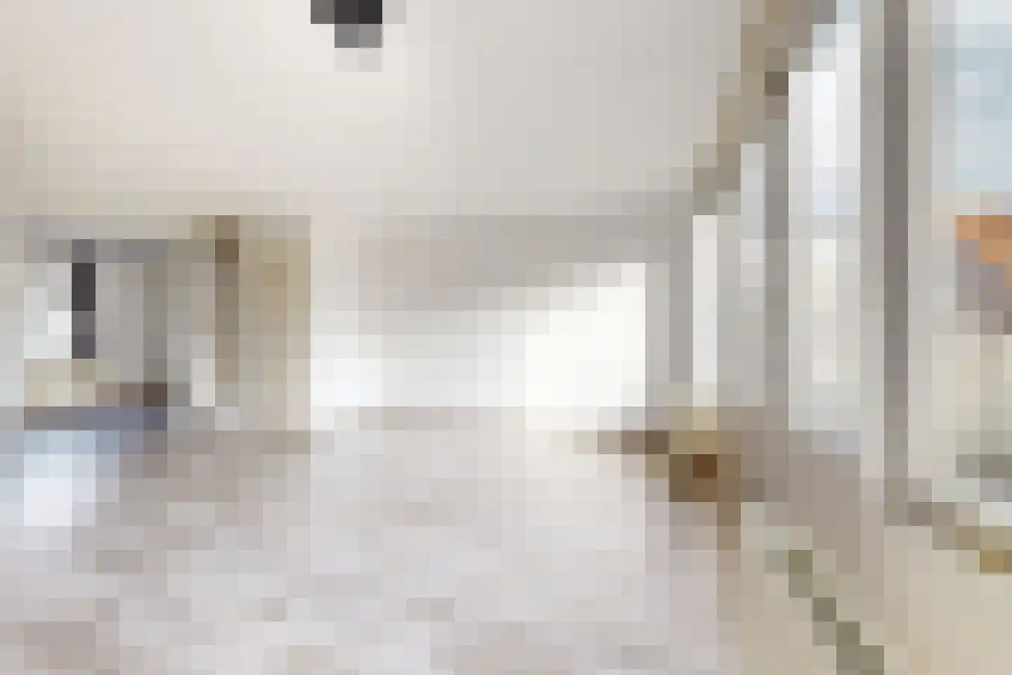 Brugstraat 2 Zevenbergen thumbnail 14