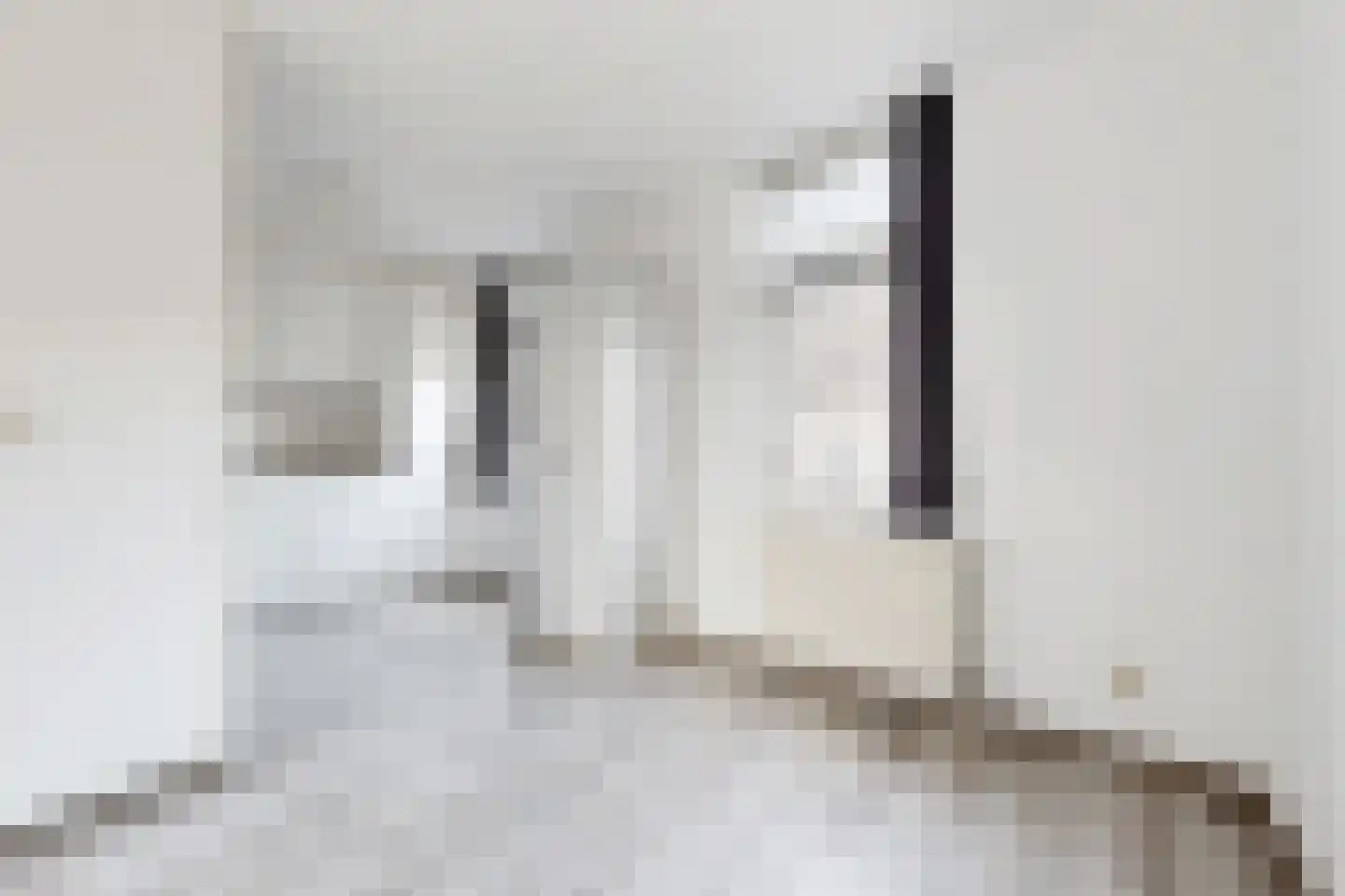Brugstraat 2 Zevenbergen thumbnail 20