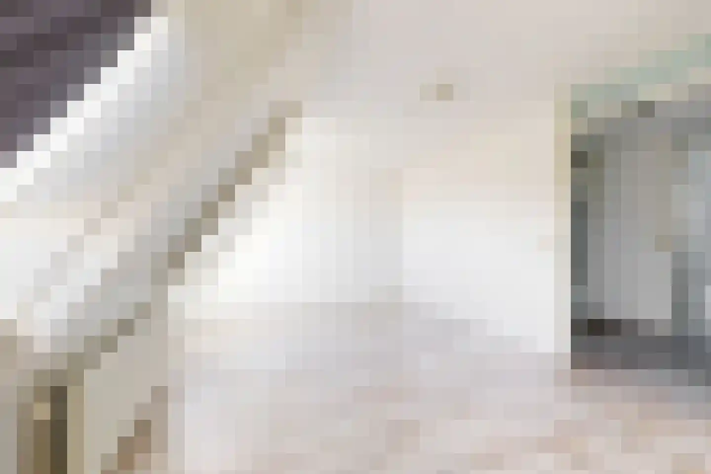 Brugstraat 2 Zevenbergen thumbnail 37