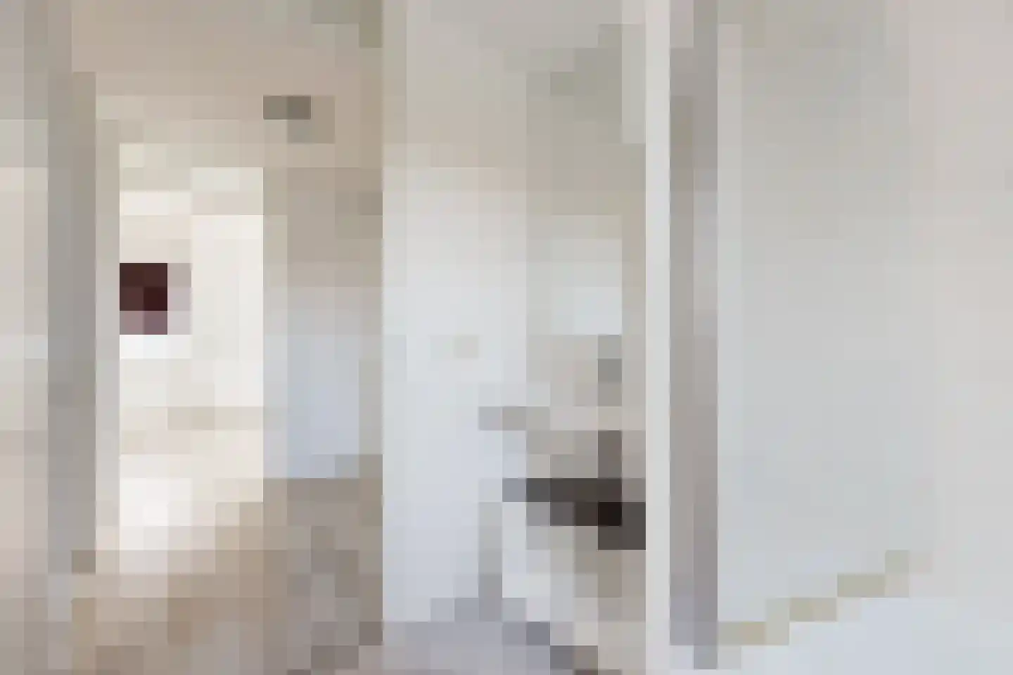 Brugstraat 2 Zevenbergen thumbnail 43