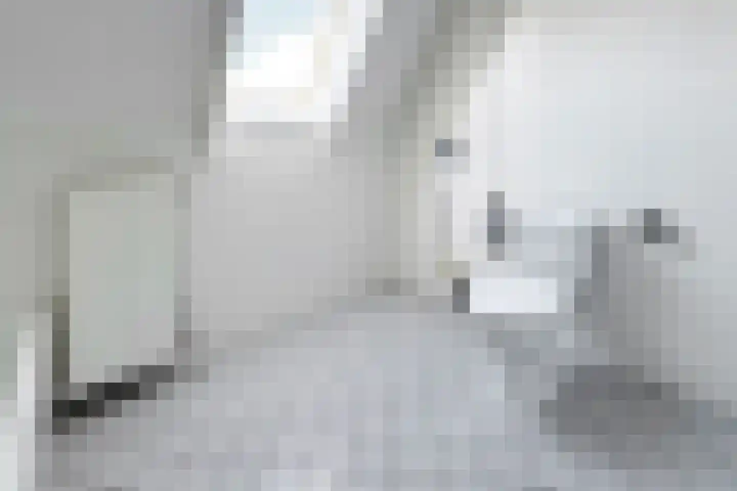 Brugstraat 2 Zevenbergen thumbnail 46
