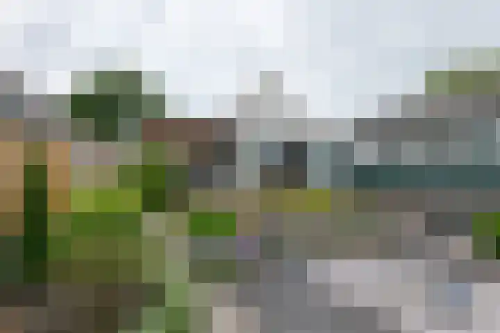 Brugstraat 20 Schoonoord thumbnail 41