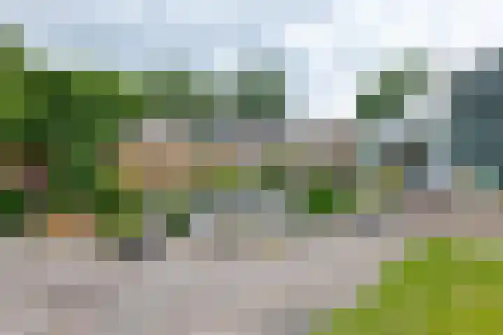 Brugstraat 20 Schoonoord thumbnail 43