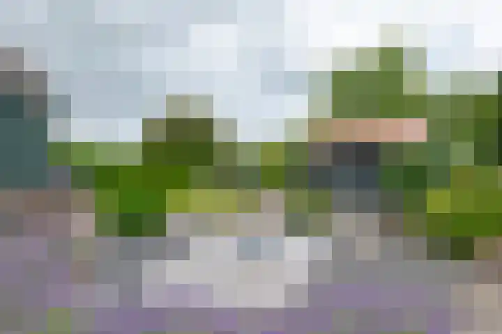 Brugstraat 20 Schoonoord thumbnail 45