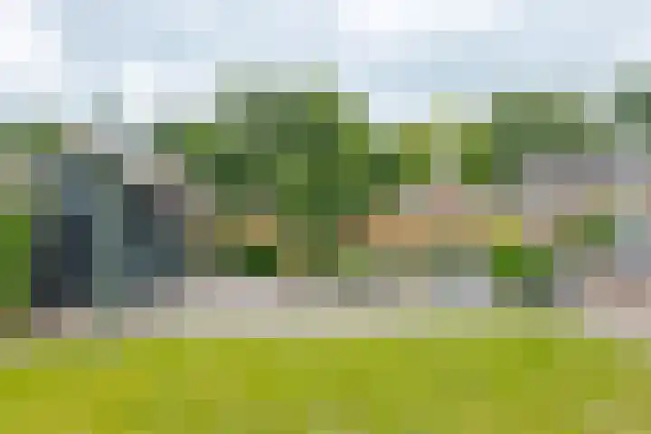 Brugstraat 20 Schoonoord thumbnail 48