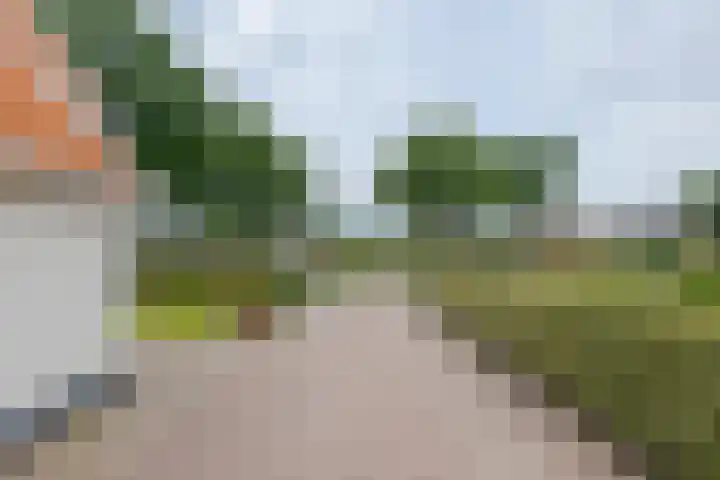 Brugstraat 20 Schoonoord thumbnail 6