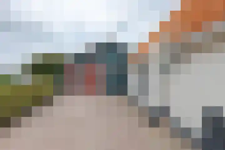 Brugstraat 20 Schoonoord thumbnail 7