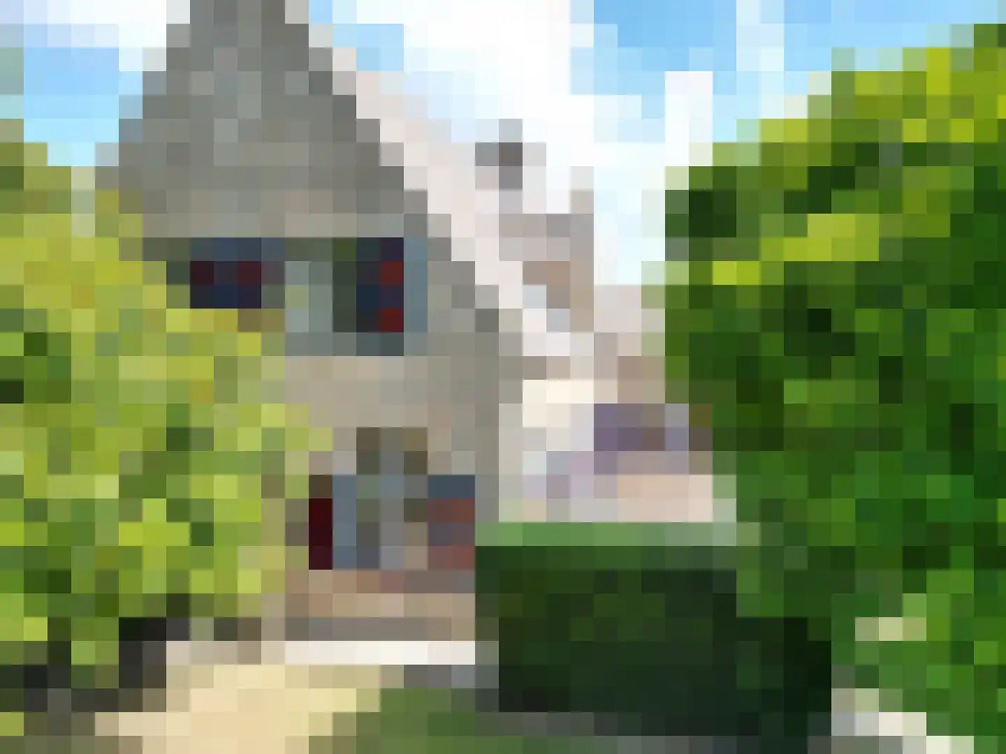 Brugstraat 21 Sluis thumbnail 48