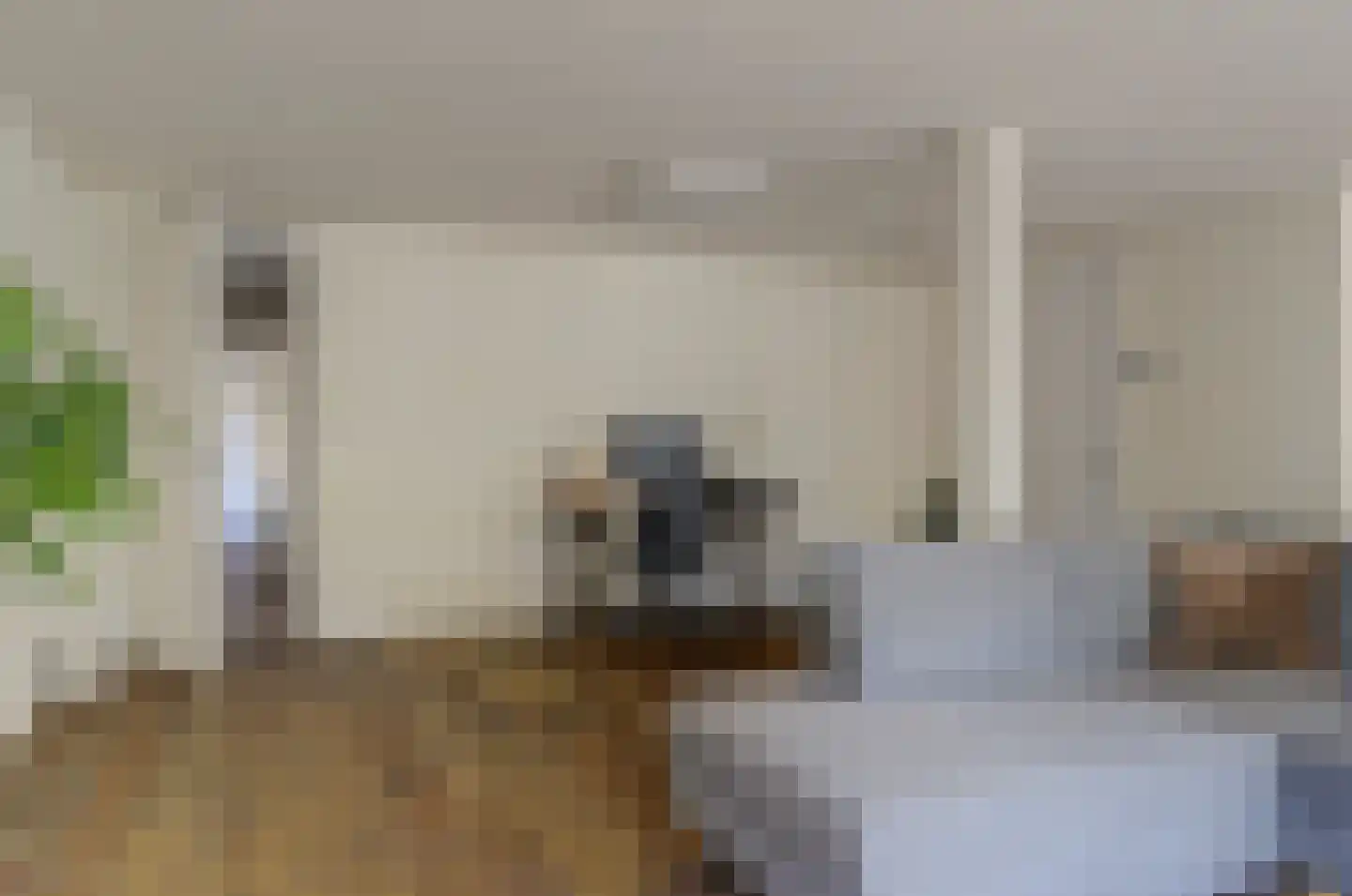 Brugstraat 23 Middenmeer thumbnail 11