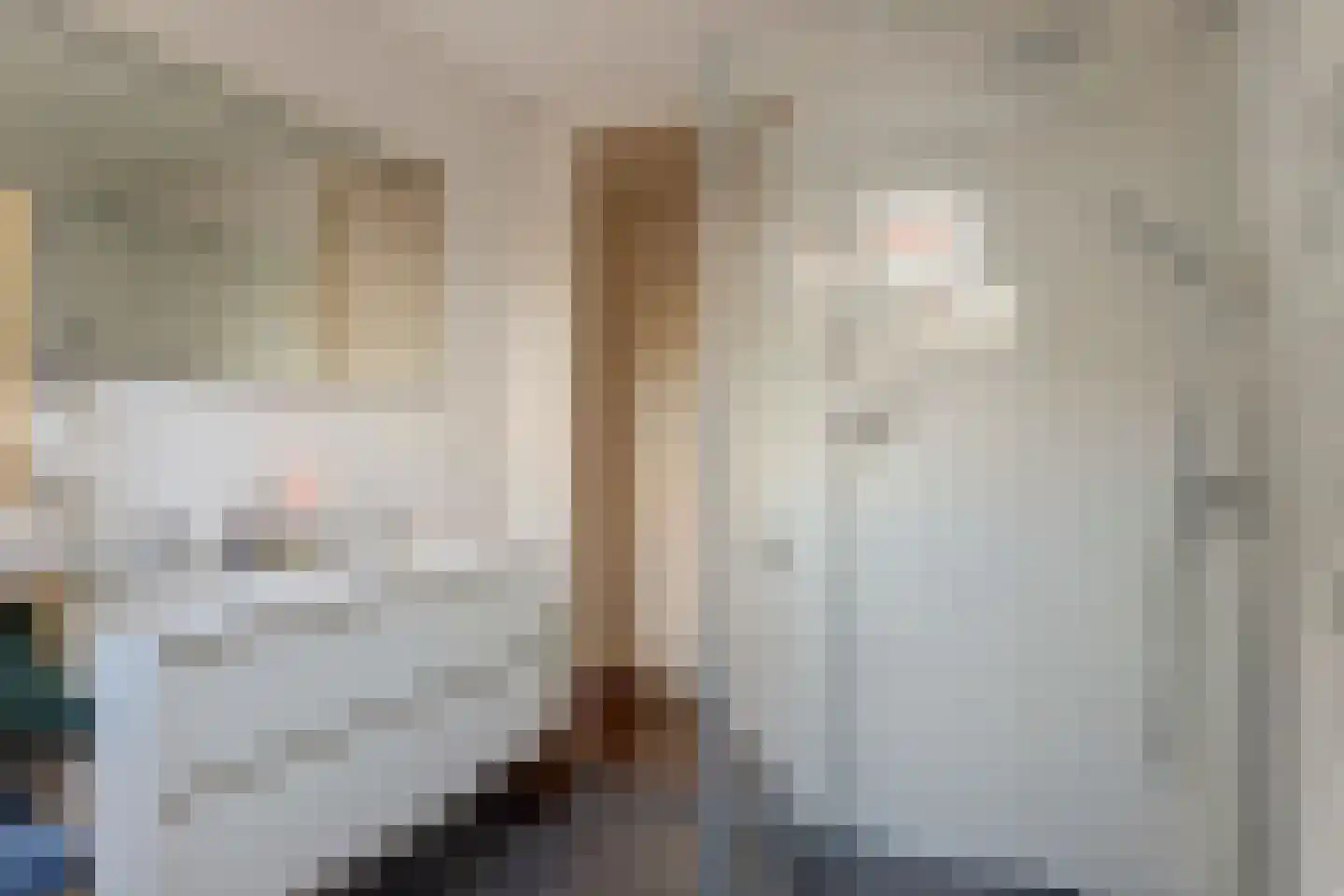 Brugstraat 23 Middenmeer thumbnail 21