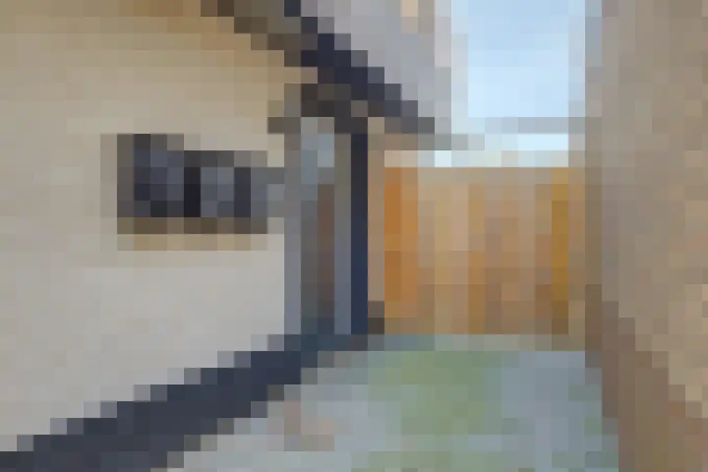 Brugstraat 23 Middenmeer thumbnail 7