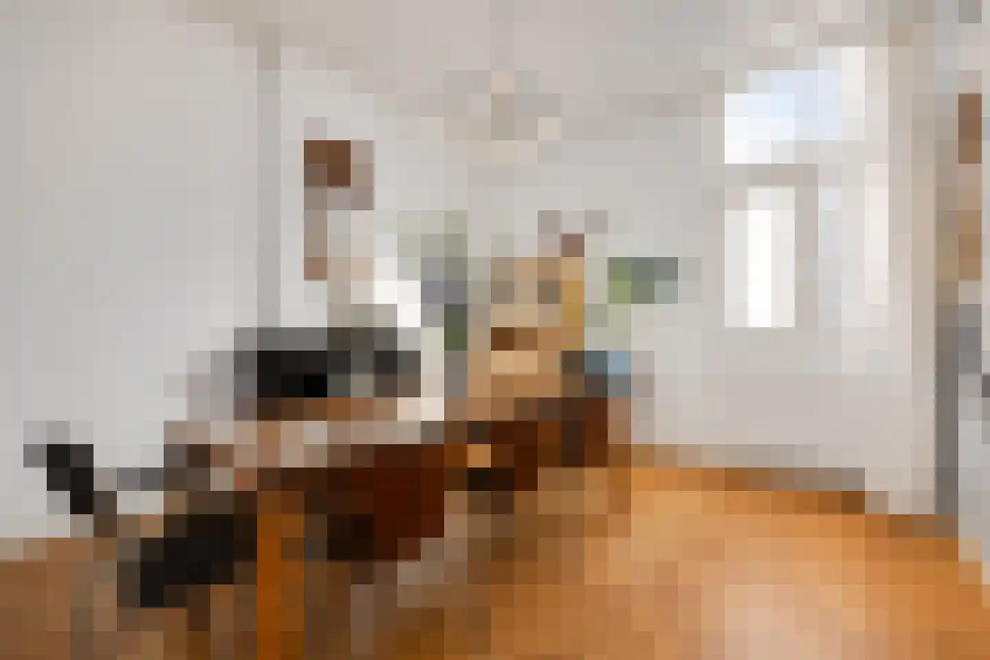 Brugstraat 23 's-Hertogenbosch thumbnail 14