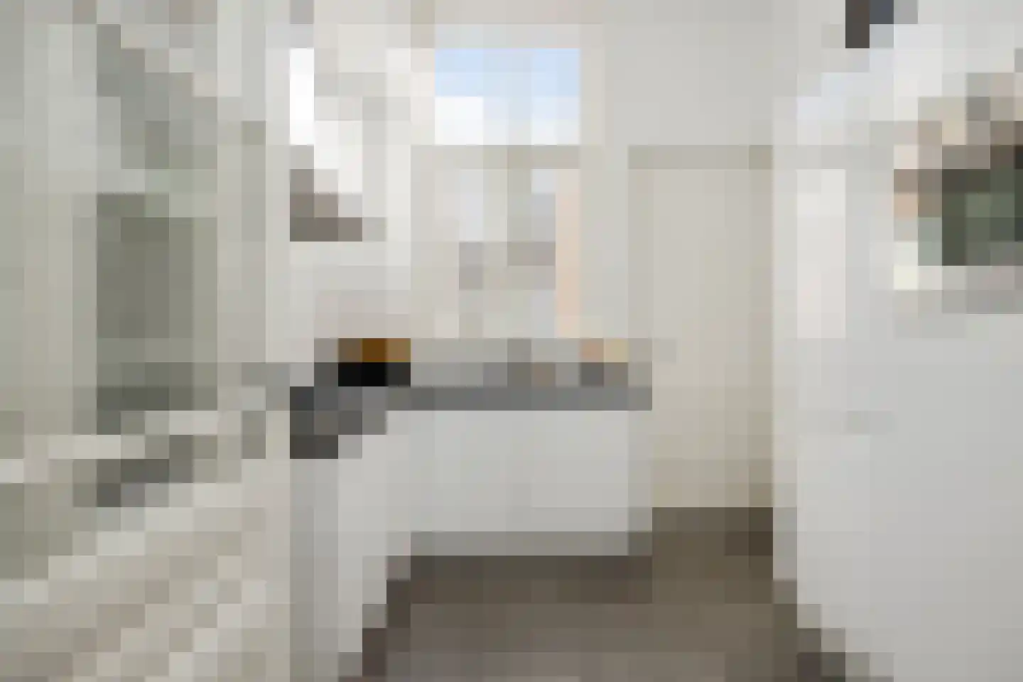 Brugstraat 23 's-Hertogenbosch thumbnail 18
