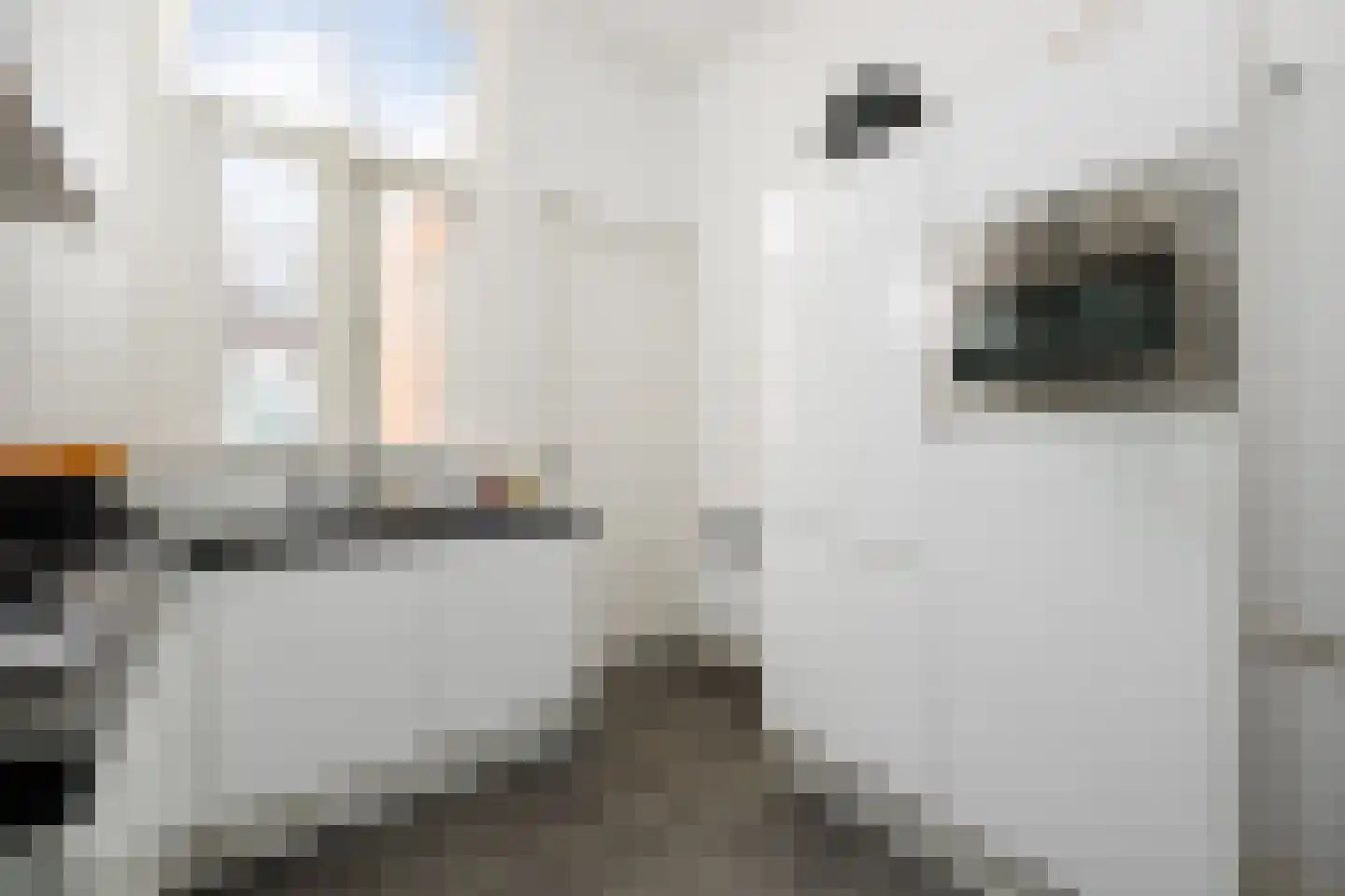 Brugstraat 23 's-Hertogenbosch thumbnail 21