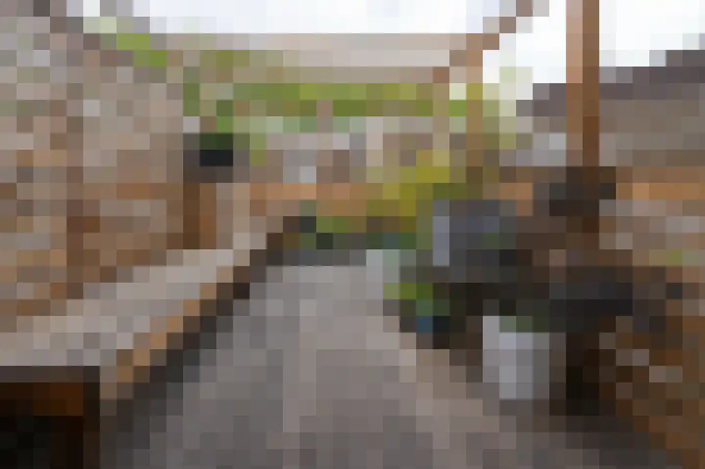 Brugstraat 23 's-Hertogenbosch thumbnail 27