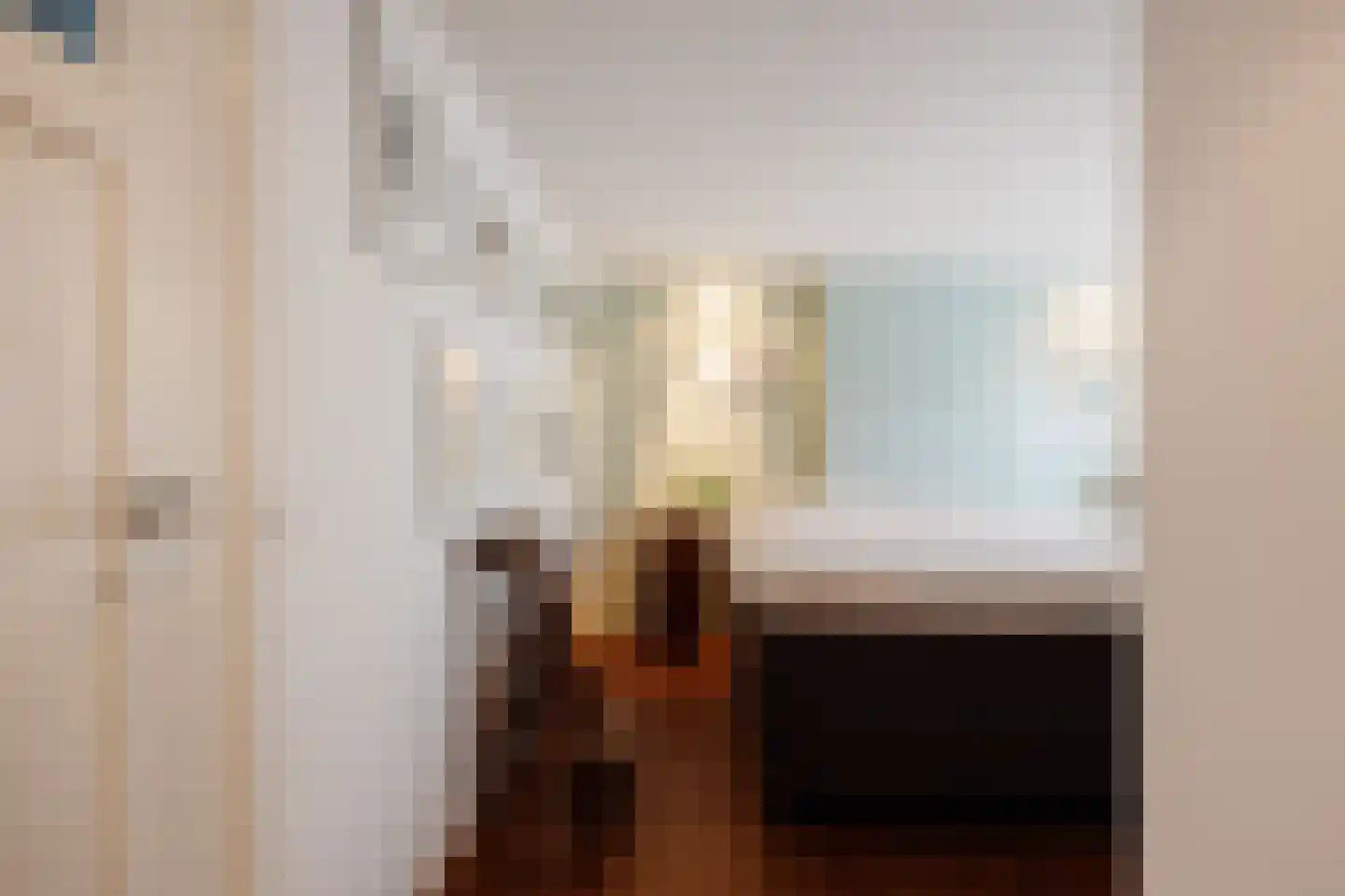 Brugstraat 23 's-Hertogenbosch thumbnail 28