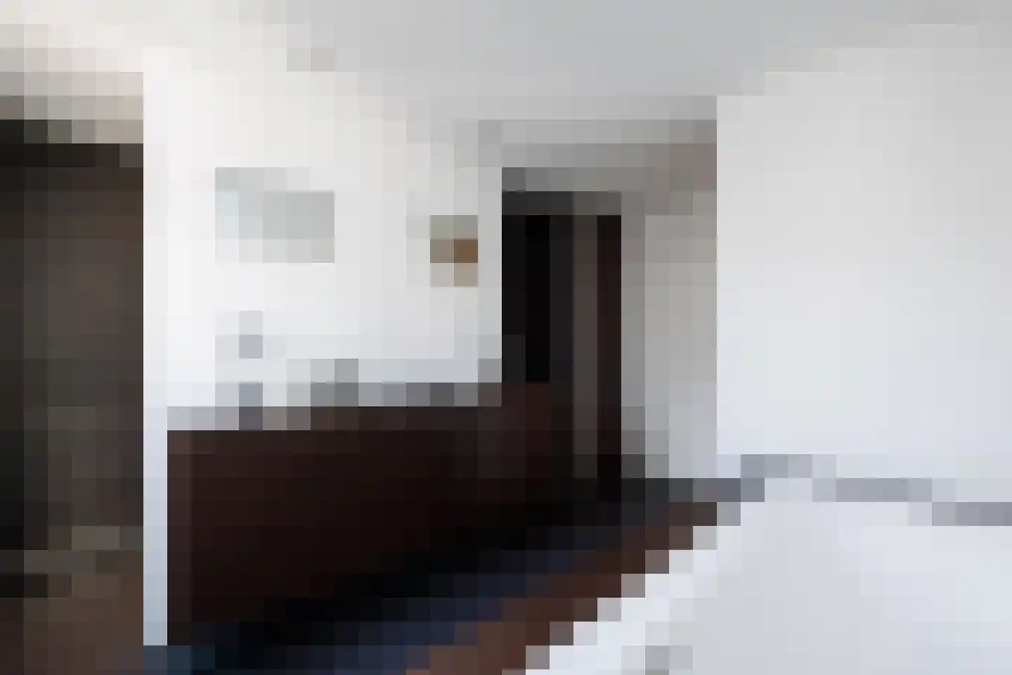 Brugstraat 23 's-Hertogenbosch thumbnail 32