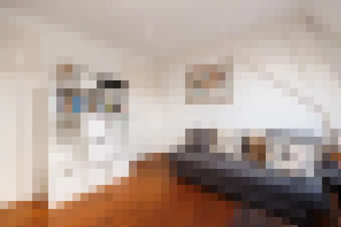 Brugstraat 23 's-Hertogenbosch thumbnail 36