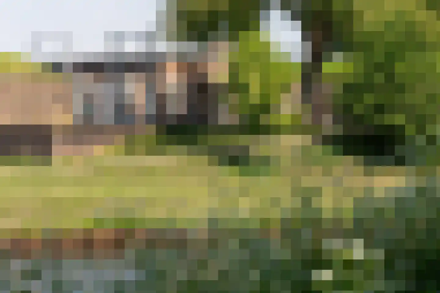 Brugstraat 23 's-Hertogenbosch thumbnail 52