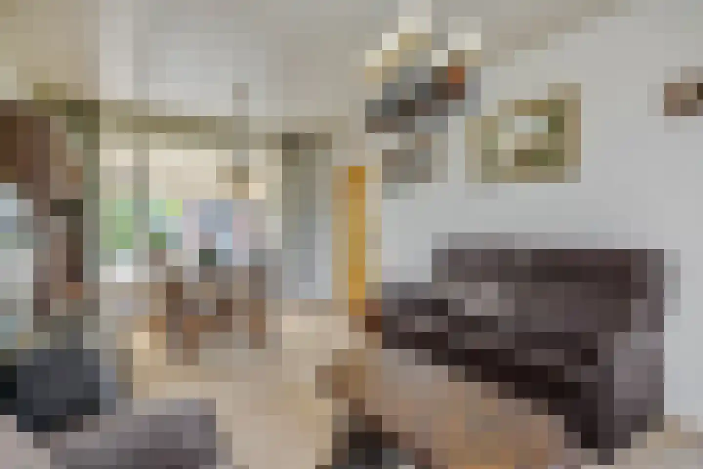Brugstraat 23 Vinkel thumbnail 4
