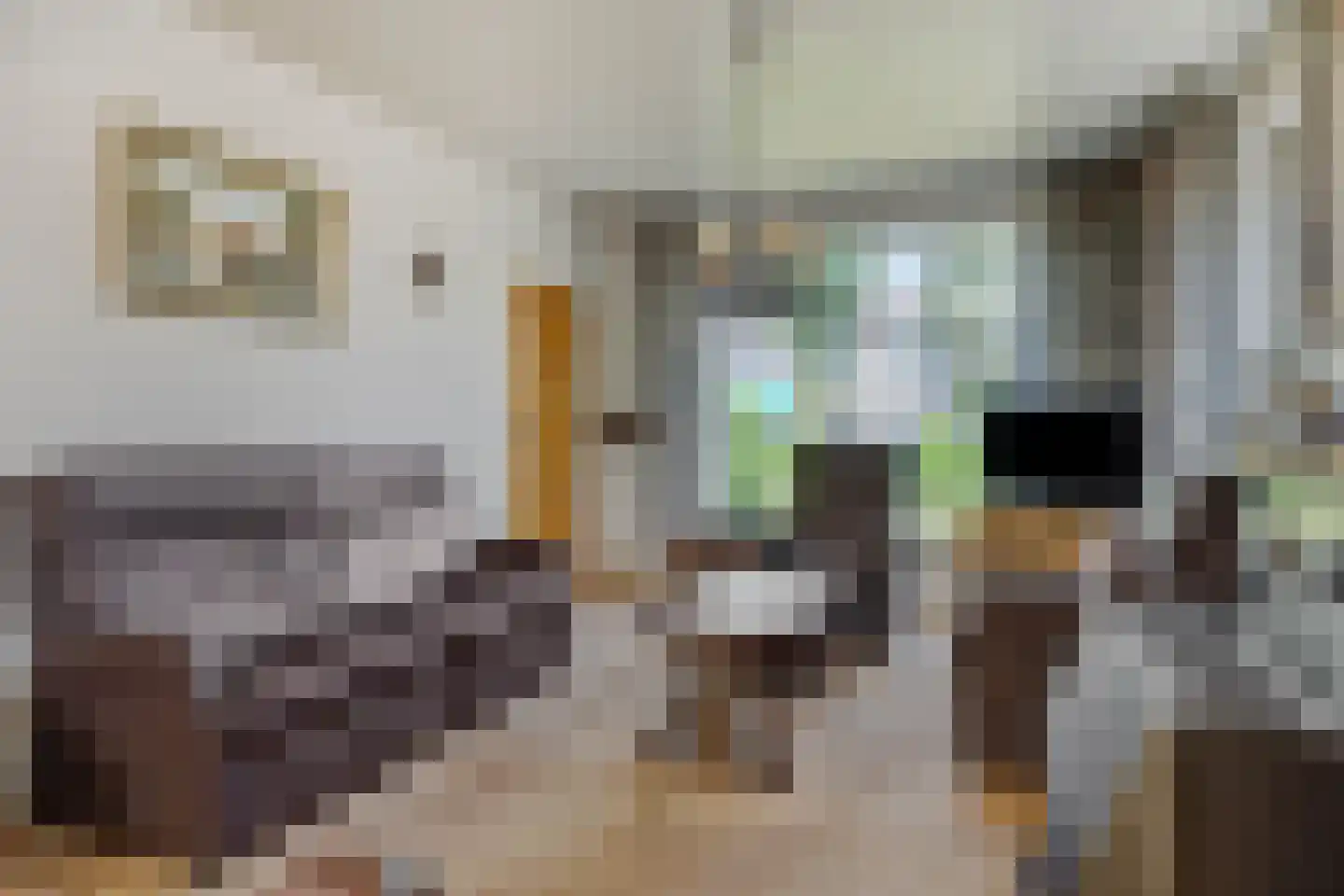 Brugstraat 23 Vinkel thumbnail 5