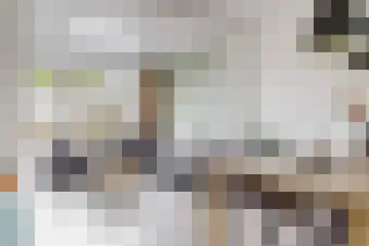 Brugstraat 24 Vianen thumbnail 4