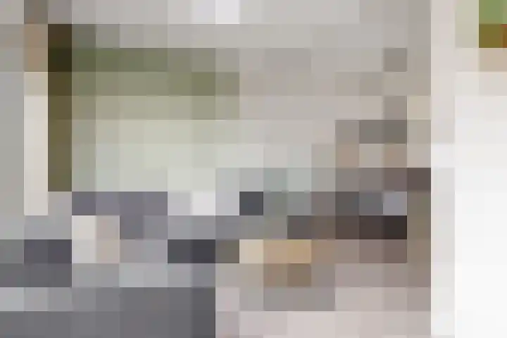 Brugstraat 24 Vianen thumbnail 5
