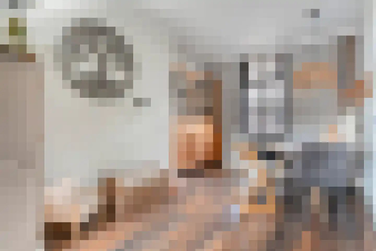 Brugstraat 28 Daarlerveen thumbnail 11
