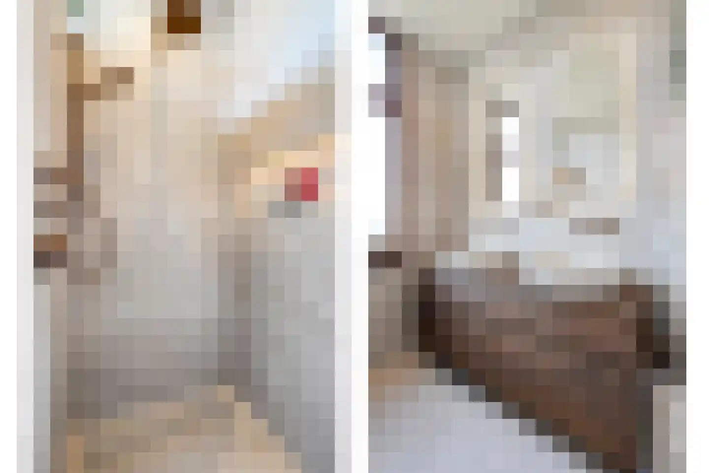 Brugstraat 28 Daarlerveen thumbnail 15