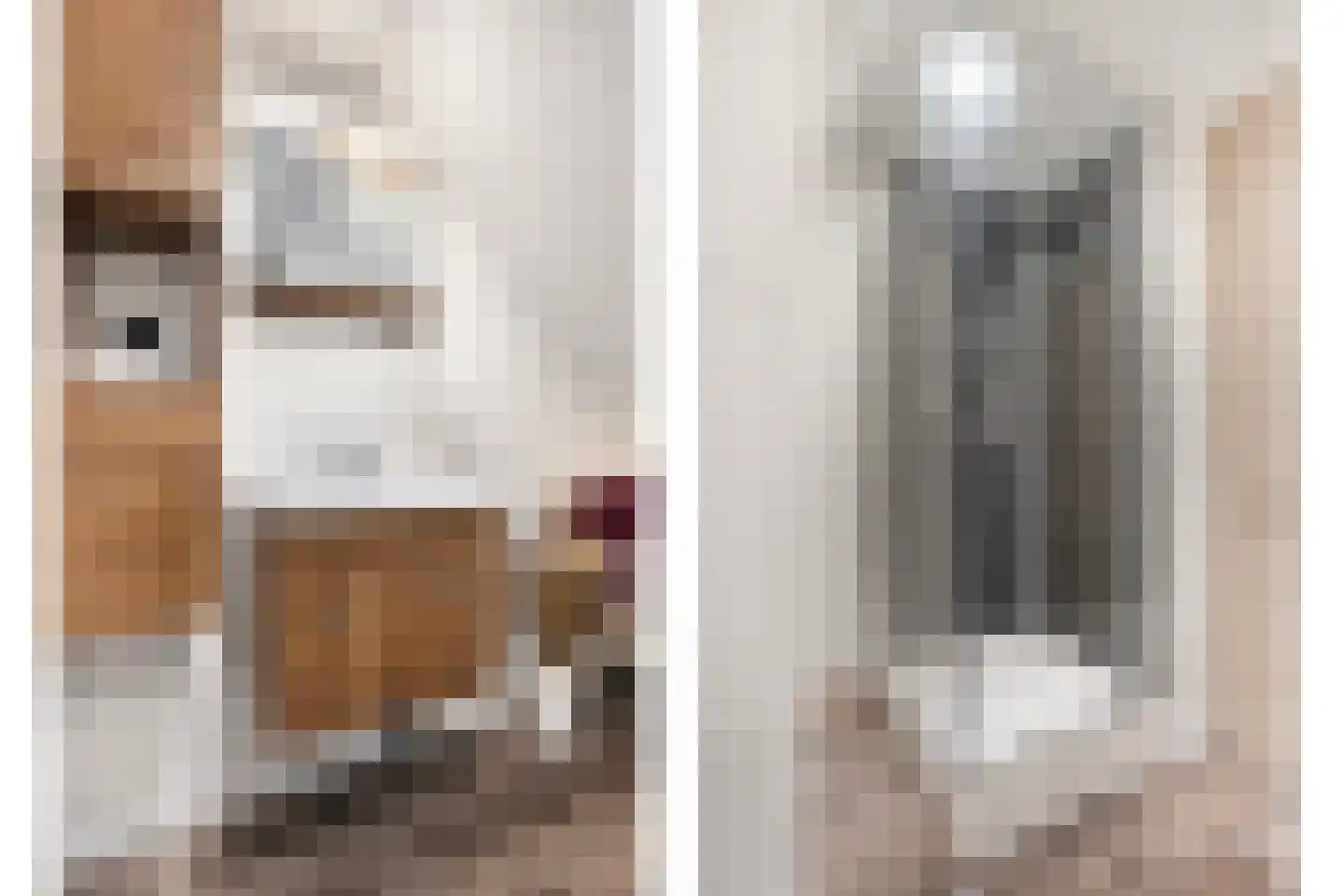 Brugstraat 28 Daarlerveen thumbnail 20