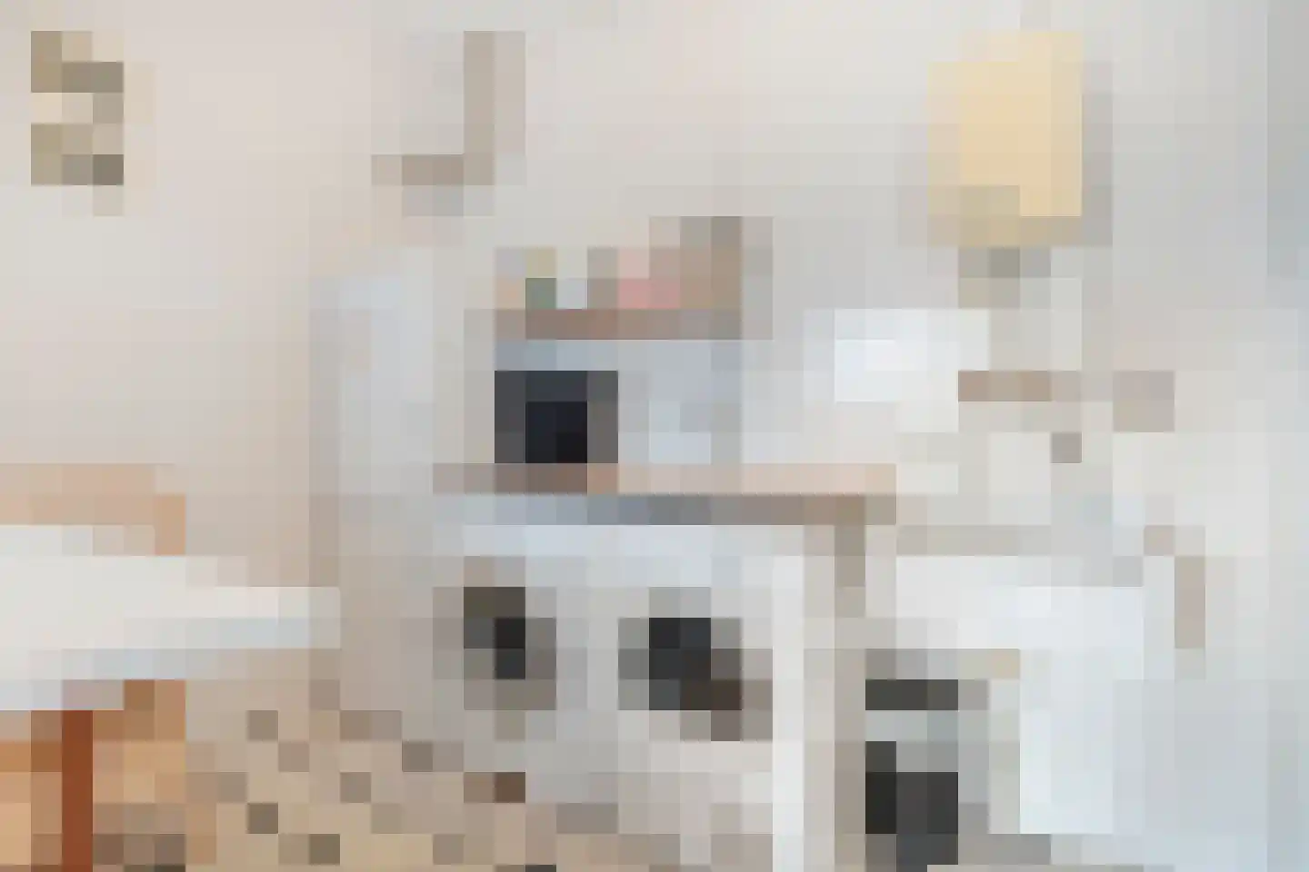 Brugstraat 28 Daarlerveen thumbnail 22