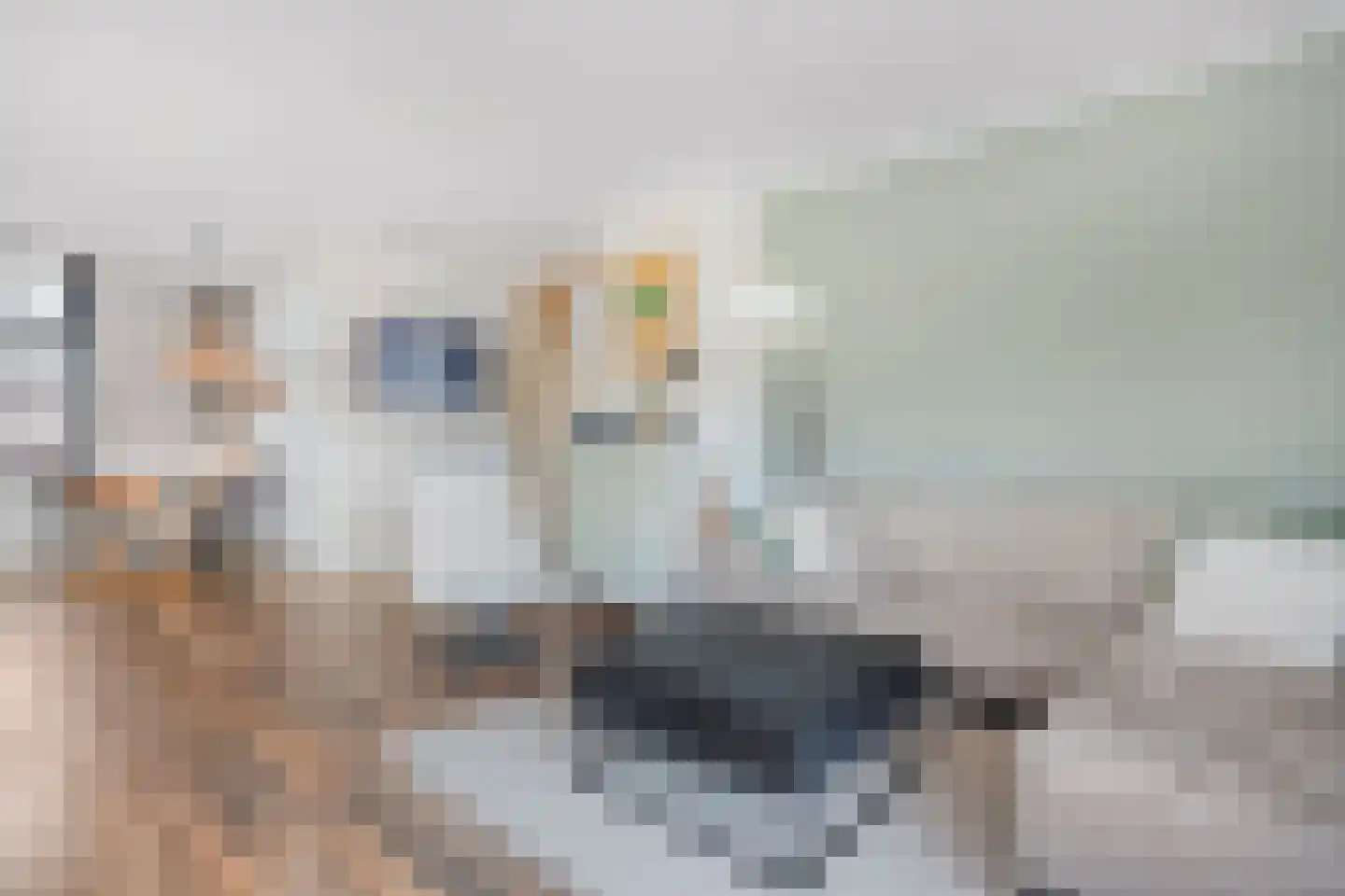 Brugstraat 28 Daarlerveen thumbnail 9