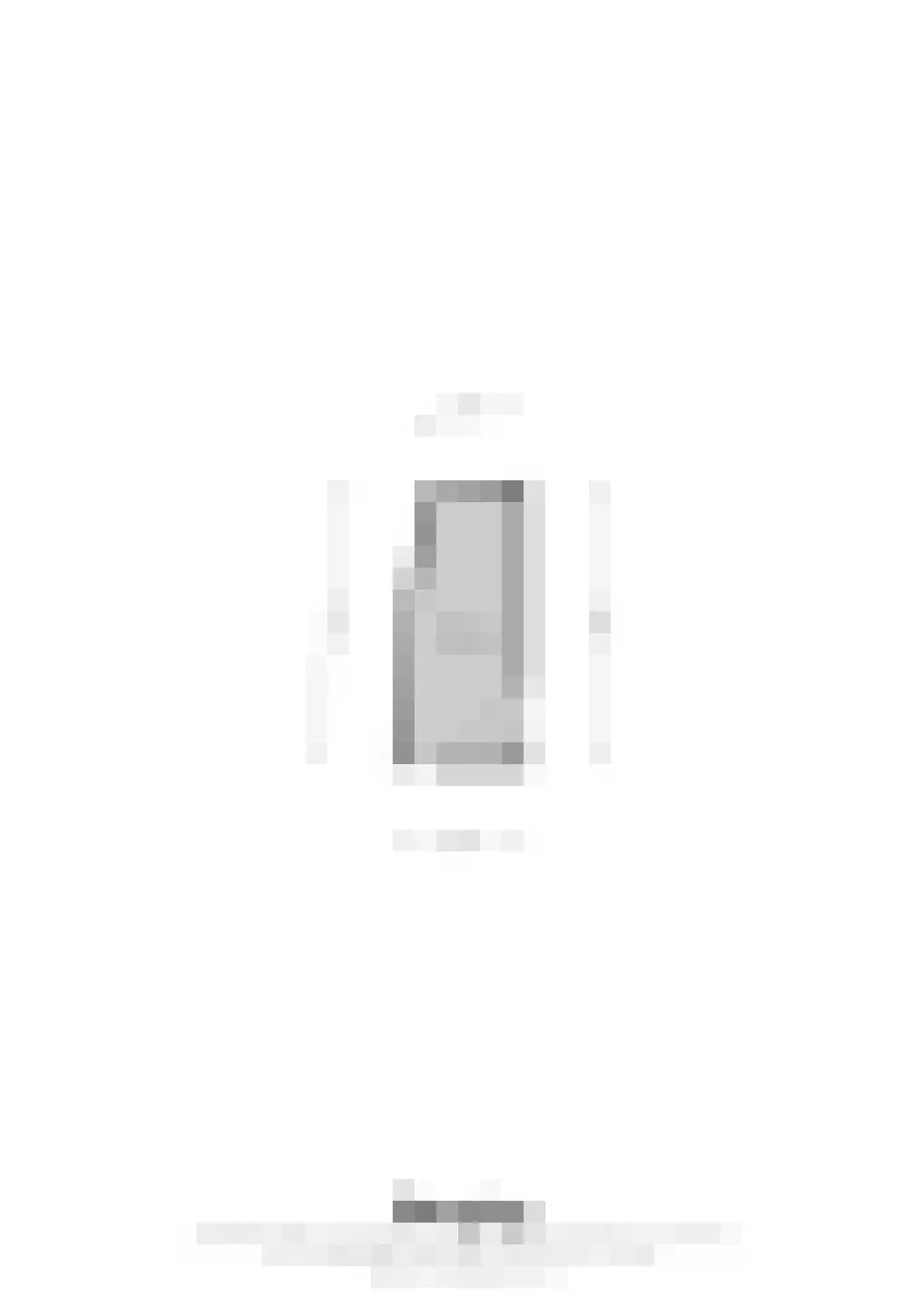 Brugstraat 34 Nederweert thumbnail 38
