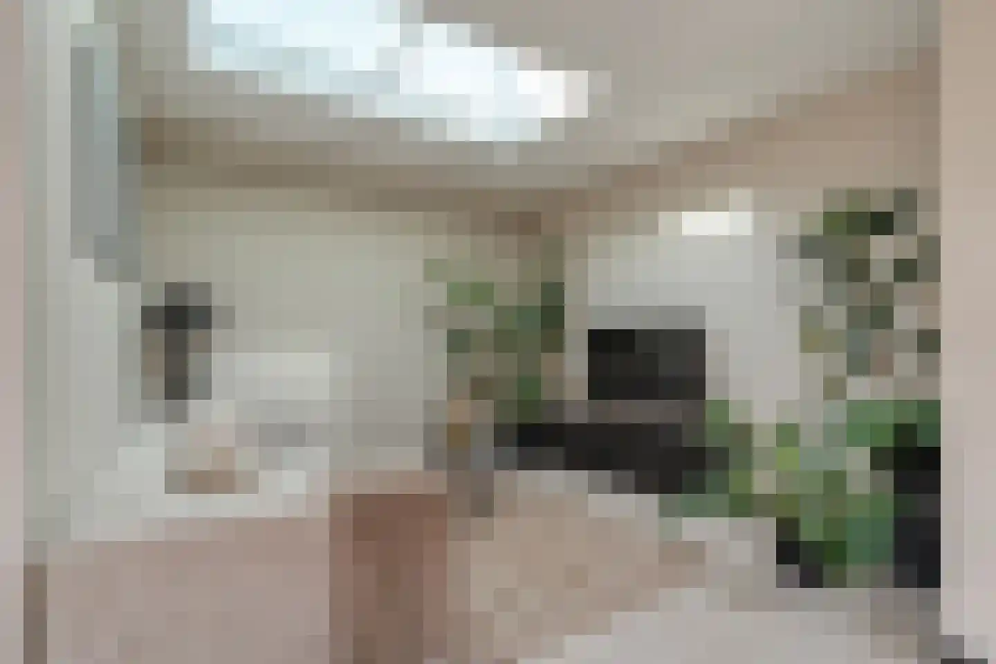 Brugstraat 34 Raalte thumbnail 11