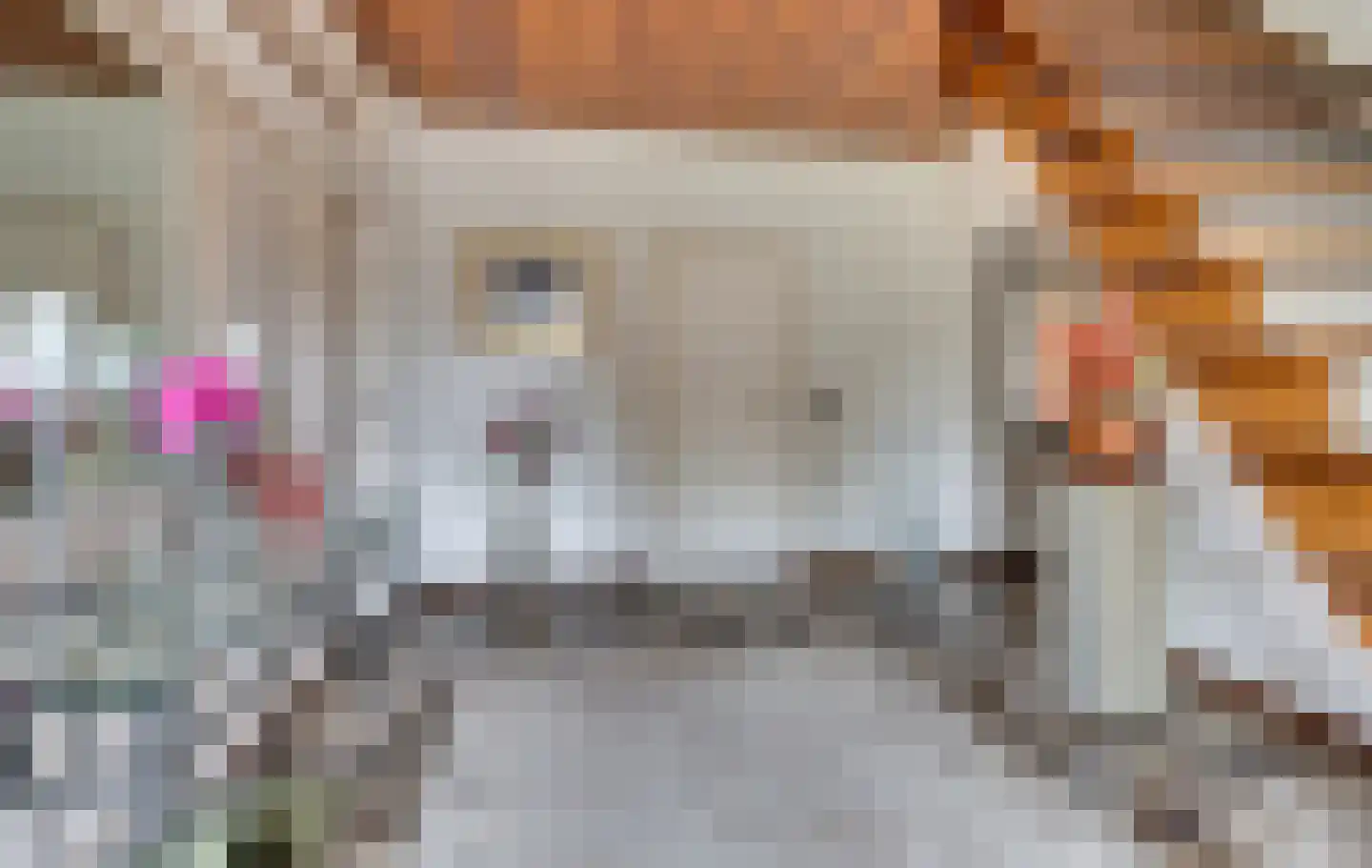 Brugstraat 4 Roggel thumbnail 21