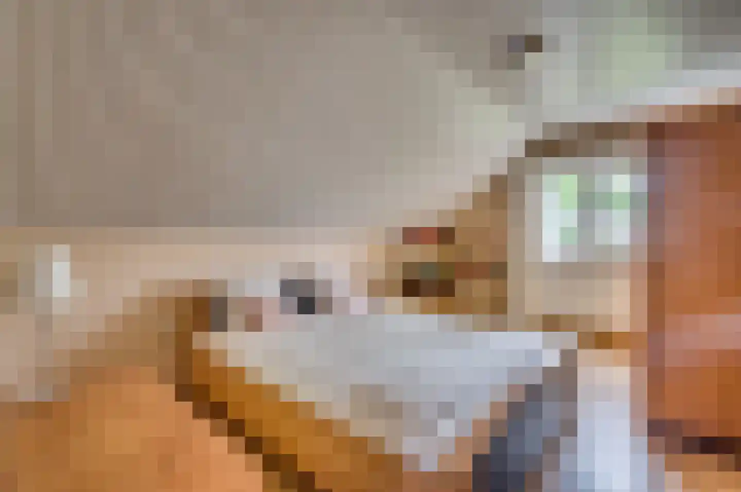 Brugstraat 4 Roggel thumbnail 31
