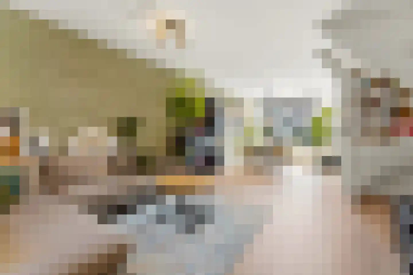 Brugstraat 4 Schipluiden thumbnail 11