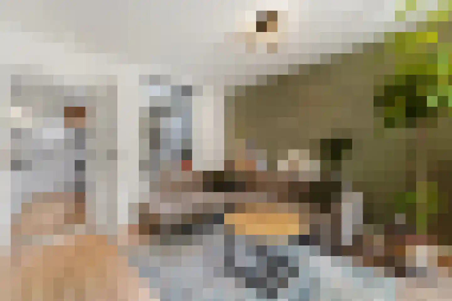 Brugstraat 4 Schipluiden thumbnail 12