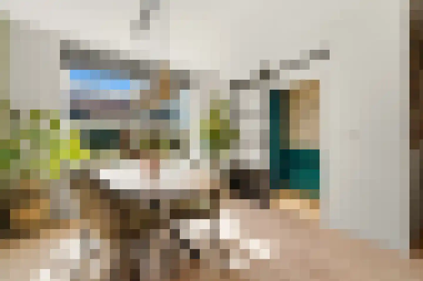 Brugstraat 4 Schipluiden thumbnail 13