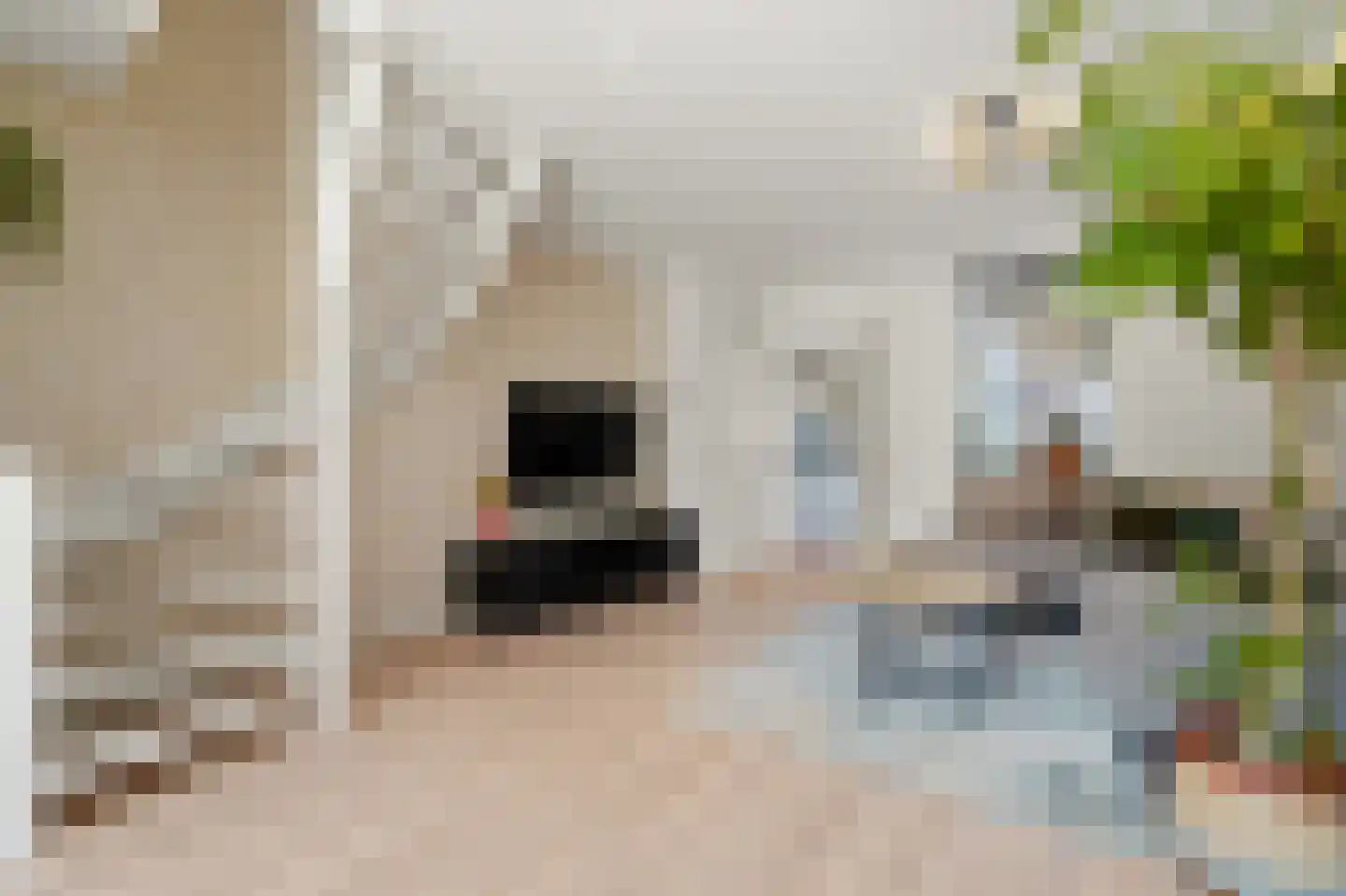 Brugstraat 4 Schipluiden thumbnail 14