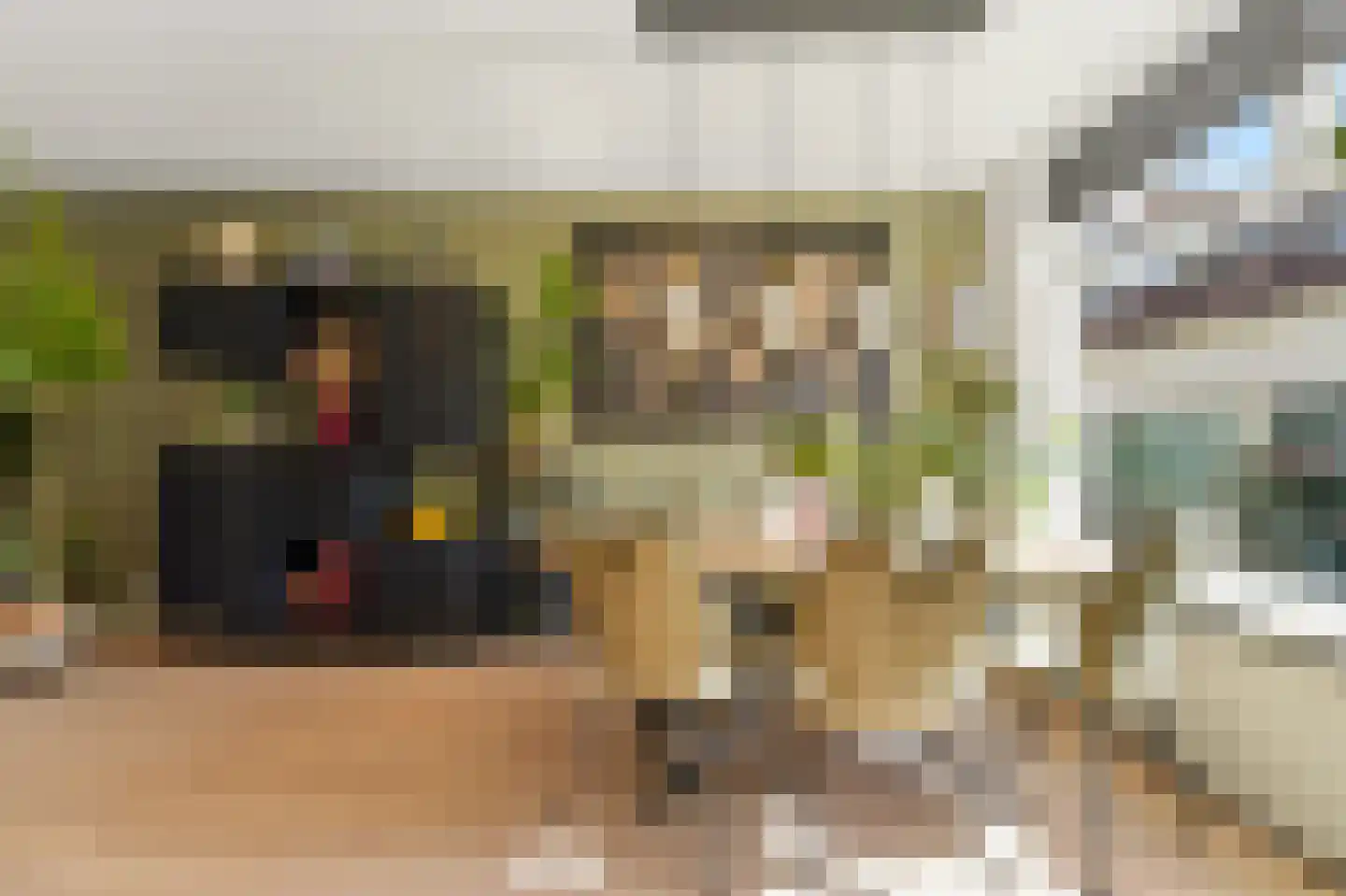 Brugstraat 4 Schipluiden thumbnail 15