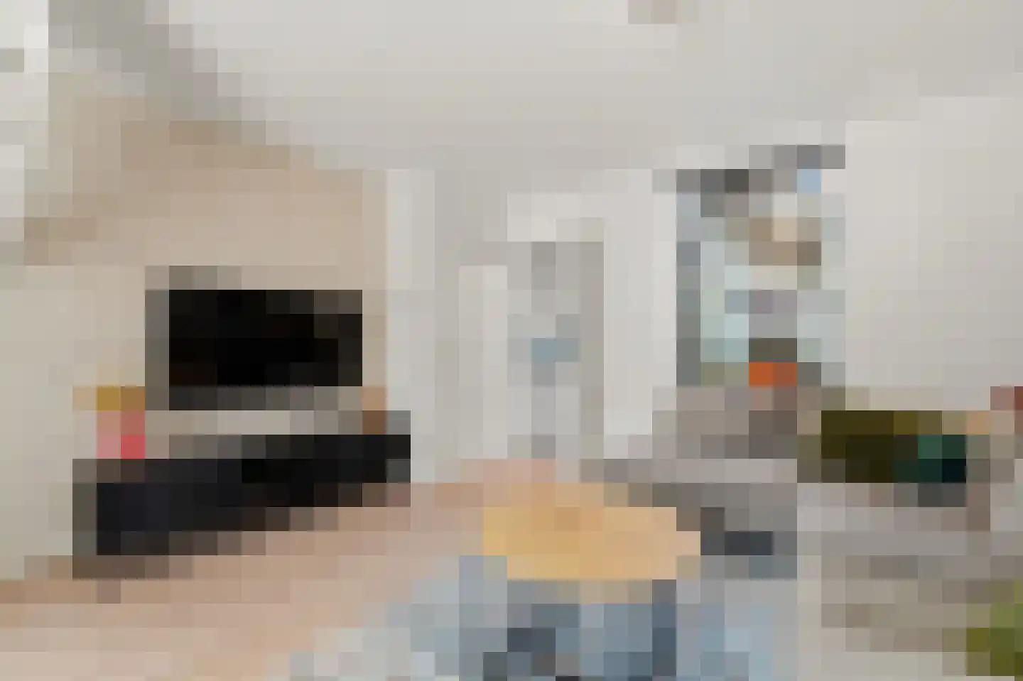 Brugstraat 4 Schipluiden thumbnail 16