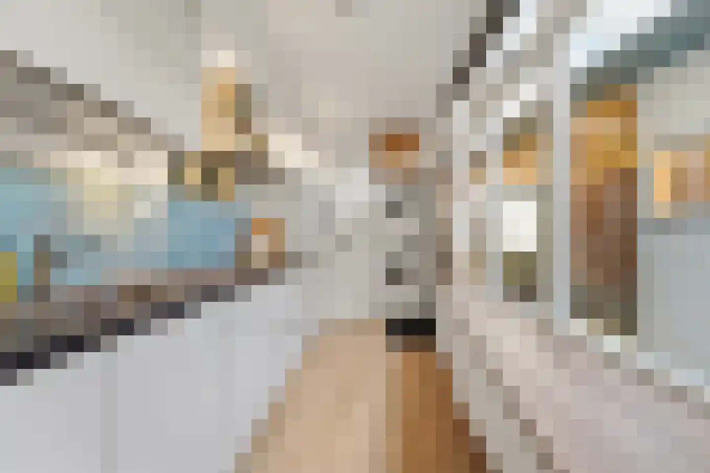 Brugstraat 4 Schipluiden thumbnail 18