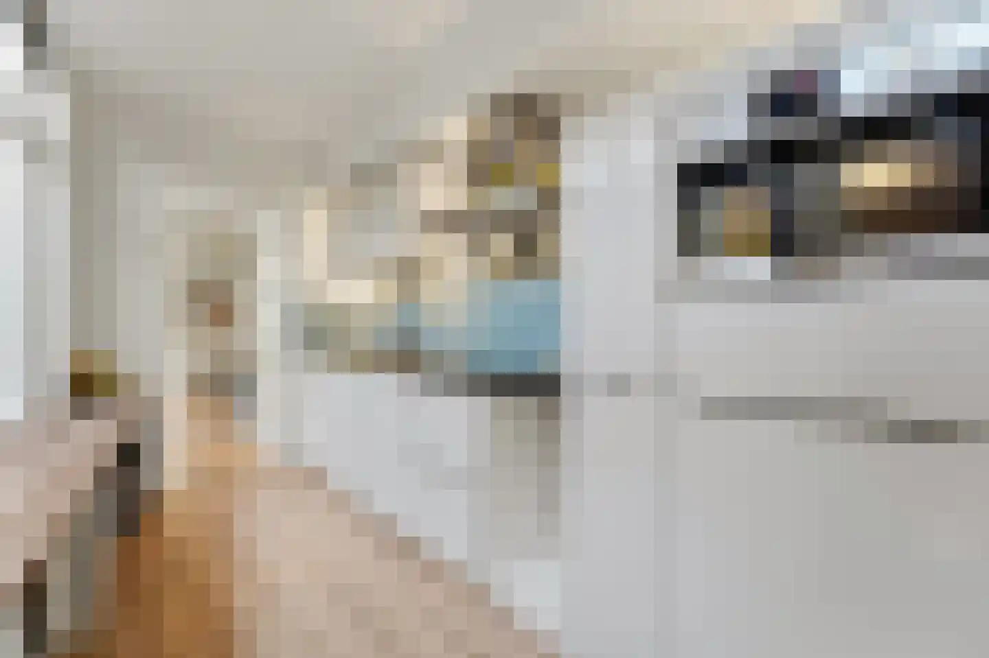 Brugstraat 4 Schipluiden thumbnail 19