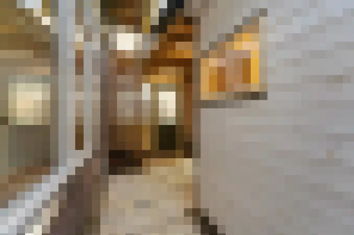 Brugstraat 4 Schipluiden thumbnail 21