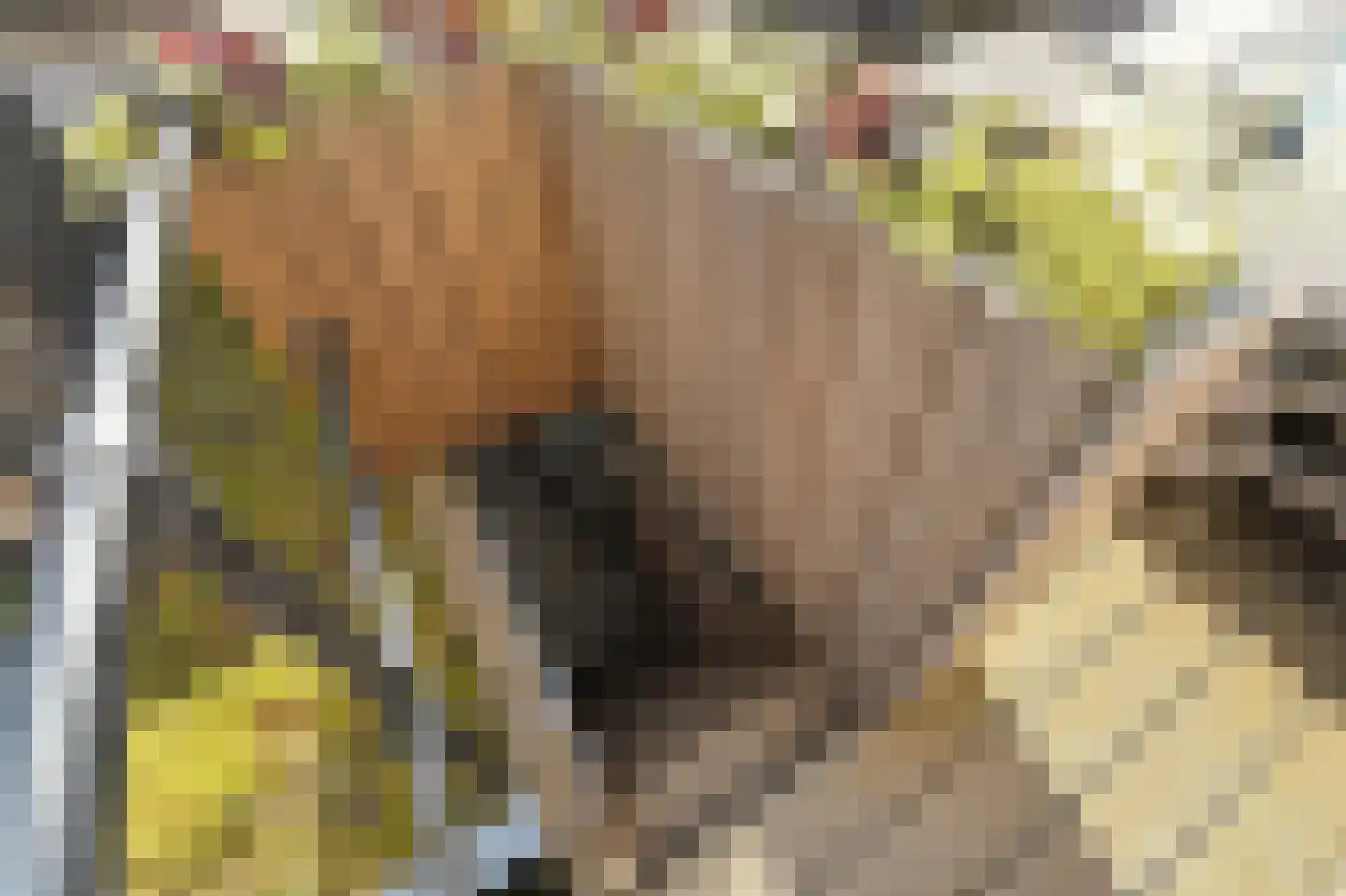 Brugstraat 4 Schipluiden thumbnail 25